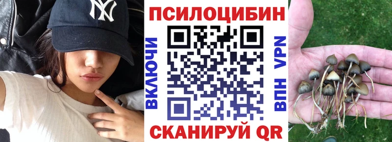 Псилоцибиновые грибы прущие грибы  Пугачёв 